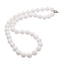 Womens White Shell Beaded Necklace With Magnetic Clasp