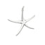 starfish silver pendant